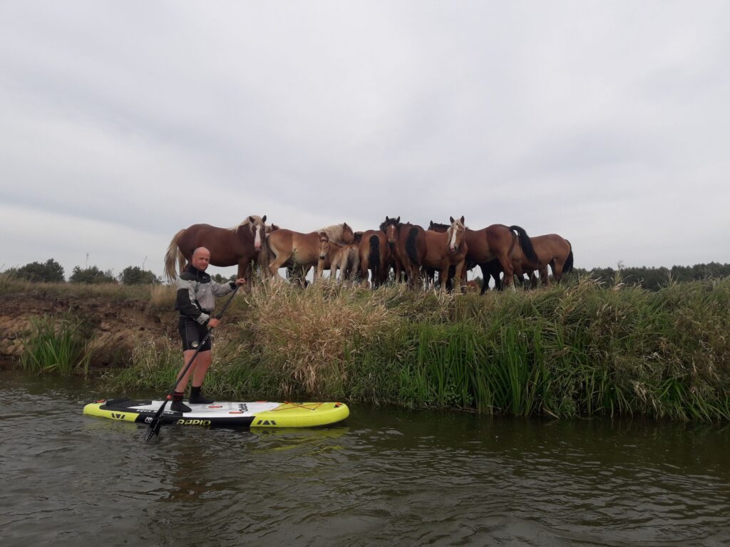 spływ Stand Up Paddle Board Pilicą Biała Góra